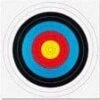60cm Target Faces -Outdoor Clothing Store 60cm target faces 18252 p