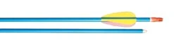 Blue Aluminium Arrow 30"