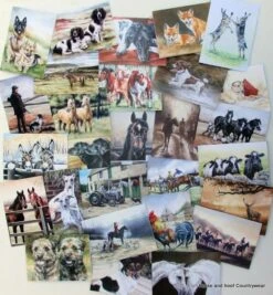Caroline Cook Equestrian And Countryside Cards -Outdoor Clothing Store caroline cook equestrian and countryside cards 3 57589 p