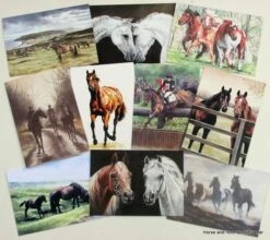 Caroline Cook Equestrian Cards -Outdoor Clothing Store caroline cook equestrian cards 3 57588 p