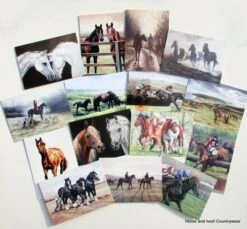 Caroline Cook Equestrian Cards -Outdoor Clothing Store caroline cook equestrian cards 4 57588 p