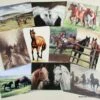 Caroline Cook Equestrian Cards -Outdoor Clothing Store caroline cook equestrian cards 57588 p