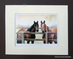 Caroline Cook Good Companions -Outdoor Clothing Store caroline cook good companions 5 57600 p