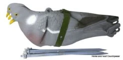 Easy Fold Pigeon Decoy 11 Easy Fold Pigeon Decoy -Outdoor Clothing Store easy fold pigeon decoy 5 111840 p