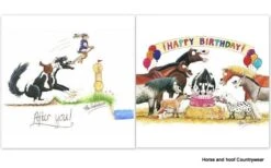 Greetings Cards By Alex (x6) -Outdoor Clothing Store greetings cards by alex x6 4 80326 p