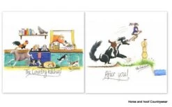 Greetings Cards By Alex (x6) -Outdoor Clothing Store greetings cards by alex x6 5 80326 p