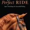 Perfect Mind: Perfect Ride - Inga Wolframm