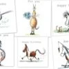 Silly Filly Cards (x6) Assorted -Outdoor Clothing Store silly filly cards x6 assorted 80340 p