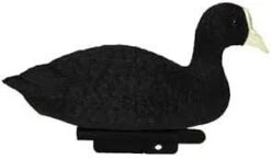 Sport Plast Coot Decoy -Outdoor Clothing Store sport plast coot decoy 3 20156 p