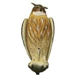 Sport Plast Eagle Owl Decoy -Outdoor Clothing Store sport plast eagle owl decoy 3 20151 p