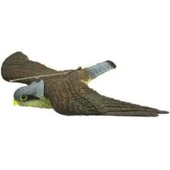 Sport Plast Flying Kestrel Decoy -Outdoor Clothing Store sport plast flying kestrel decoy 4 20148 p