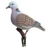 Sport Plast Turtle Dove Decoy -Outdoor Clothing Store sport plast turtle dove decoy 20158 p