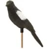STV International Magpie Deterrent -Outdoor Clothing Store stv international magpie deterrent 66570 p