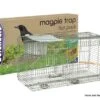 STV International Magpie Trap Flat Pack -Outdoor Clothing Store stv international magpie trap flat pack 66581 p