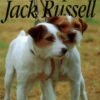 The Complete Jack Russell - James Mckay 1 The Complete Jack Russell - James Mckay -Outdoor Clothing Store the complete jack russell james mckay 101367 p