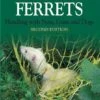 Working Ferrets- Handling With Nets, Guns And Dogs - Jackie Drakeford 1 Working Ferrets- Handling With Nets, Guns And Dogs - Jackie Drakeford -Outdoor Clothing Store working ferrets handling with nets guns and dogs jackie drakeford 101281 p