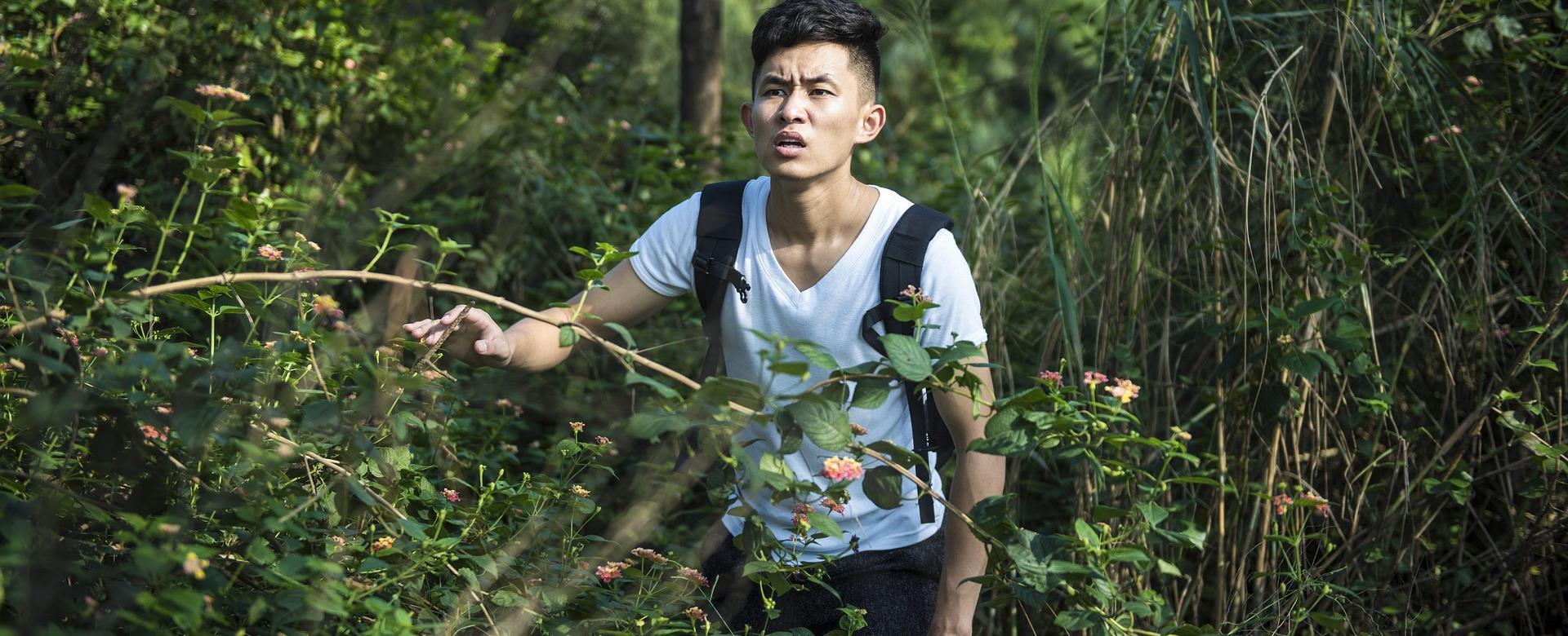 Outdoor Clothing Store -Outdoor Clothing Store the wild 1833566 1920